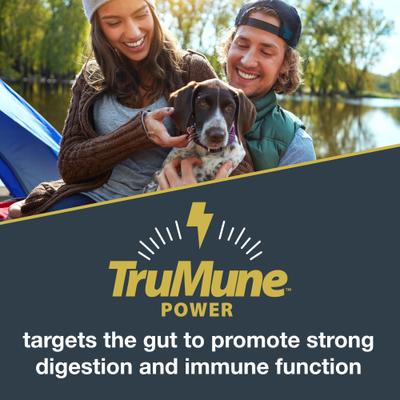 Comida seca para perros Explorer Puppy Formula, bolsa de 40 lb