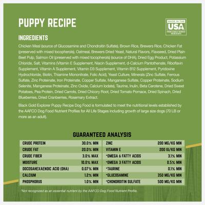 Explorer Puppy Formula Dry Dog Food, 15-lb bag