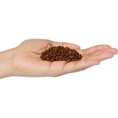 Alimento seco para gatos sin cereales con receta de pollo e hígado orgánico, bolsa de 3 lb