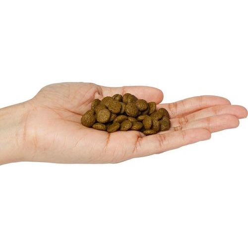 Alimento seco para perros N&D White Coat Canine Formula Adult GMO-Free Sea Bass, Fennel & Kelp Mini, bolsa de 4.4 lb