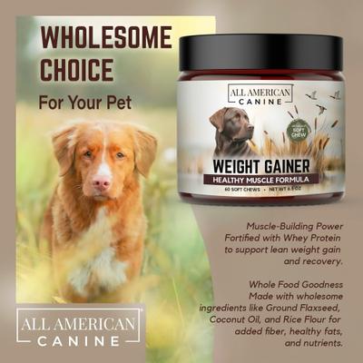 High-Calorie Weight Gainer Protein Chews Dog Supplement, 60 count