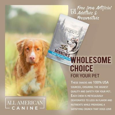 Minnows Freeze-Dried Dog Treats, 1.25-oz bag