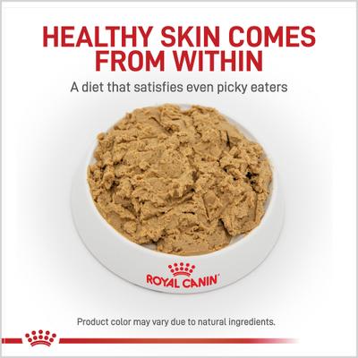 Alimento húmedo para perros adultos Hydrolyzed Protein Loaf, lata de 13.7 oz, caja de 24