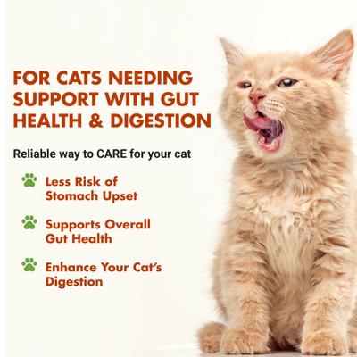 Feline Pre & PostBiotic Support - Ayuda digestiva para gatos sin sabor, botella de 8 onzas líquidas
