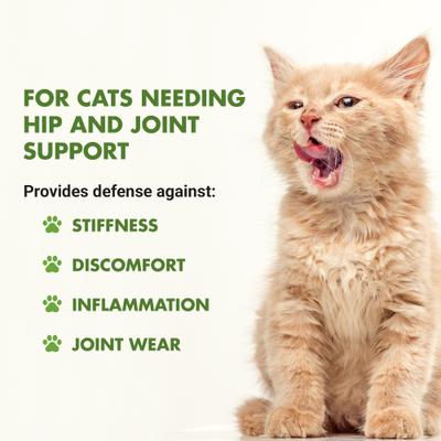 Suplemento para gatos con sabor a pollo para el apoyo de caderas y articulaciones, botella de 8 onzas líquidas