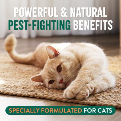 Natural Flea + Tick Gentle Cat Shampoo, 12-fl oz