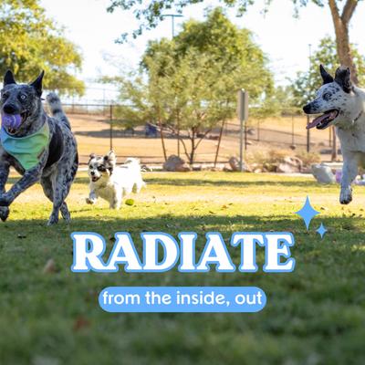 Radiant Hip x Joint Chew Supplement for Dogs, 90 count