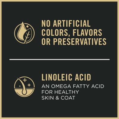 Sensitive Stomach & Skin Puppy Salmon & Rice Entrée Classic Wet Dog Food, 13-oz can, case of 12