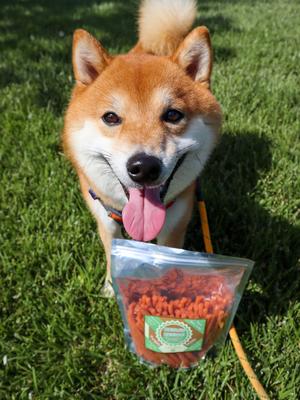 Twiggly Chicken Sticks Soft & Chewy Dog Treats, 24-oz bag