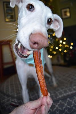 Chicken Fillet Sticks Dog Chew Treats, 8 count