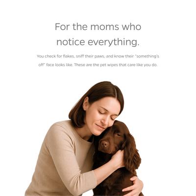 Pet WiPees Antiseptic Dog & Cat Grooming Wipes, 100 count