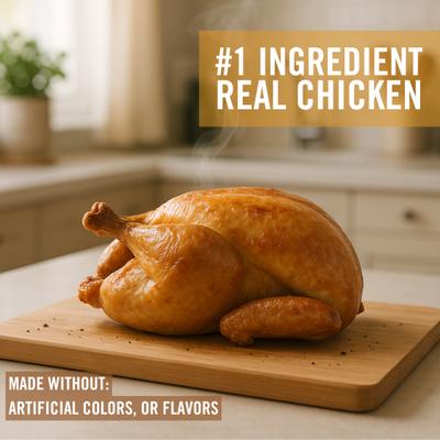 Savory Snacks Chicken Dog Treats, 16-oz bag