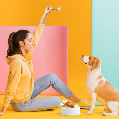 6.5-inch Real Chicken Wrapped Bones Rawhide-Free Dog Chews, 10.6-oz bag