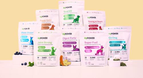 Young At Heart Nutritional Senior Dog Supplement, 1-lb