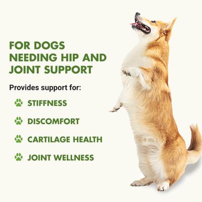 Hip & Joint Pot Roast Dog Supplement, 8-fl oz bottle, 2-pack trial