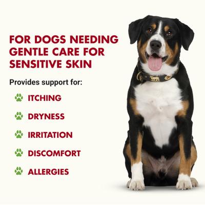 Itch & Allergy Support Chicken Flavor Dog Supplement, 32-fl oz bottle