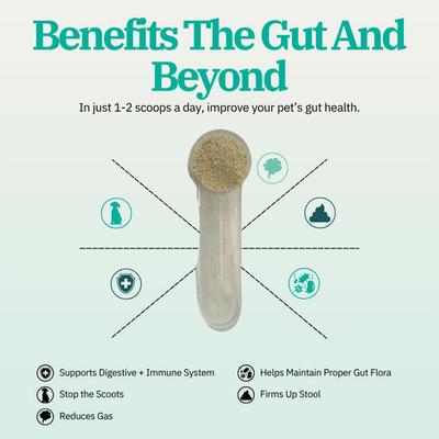 Postbiotic Gut Health Powder Digestive Aid Supplement for Dogs & Cats, 2-oz jar