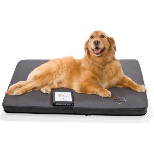 Sistema Loop Lounge tPEMF para perros y gatos, tamaño mediano