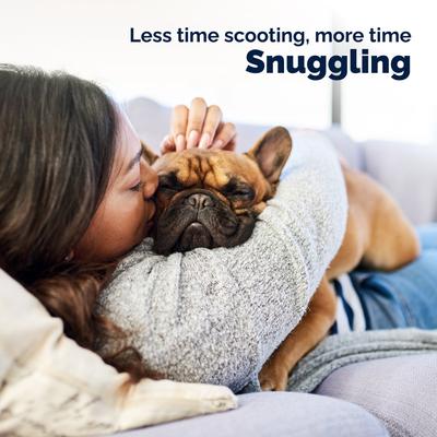 Glandex Medicated Anal Gland Fast Acting in Pain Relieving Anti-Itch Dog & Cat Spray, 4-fl oz bottle