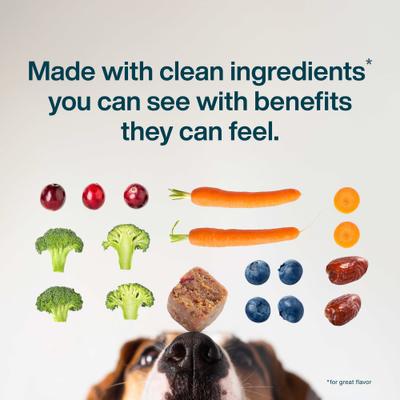 Movilidad de cadera y articulaciones con glucosamina y condriotina, mezcla de superalimentos, grado humano, suplemento masticable suave de origen vegetal para perros, 45 unidades