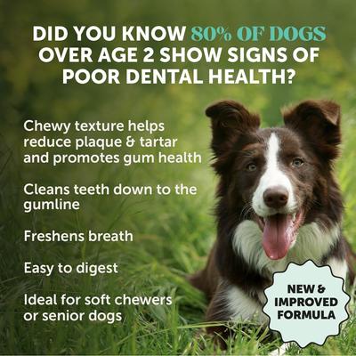 Palitos masticables dentales para perros con menta fresca para la salud dental y la eliminación de placa, 16 unidades