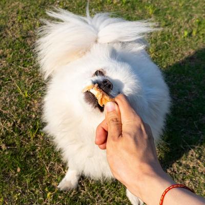 Chicken Wrapped Calcium Bones 2.3-inch Rawhide-Free Dog Treats, 56 count