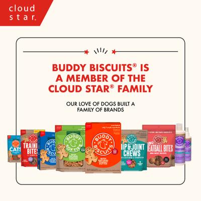 Galletas crujientes para perros con sabor a calabaza y sin trigo para Halloween, caja de 14 oz