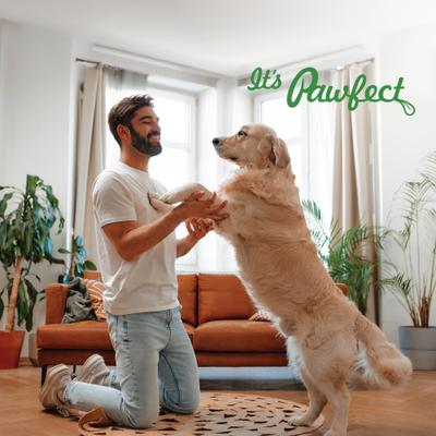 Dentamust Himalayan Cheese Chews Medium All Natural High-Protein Grain-Free with Cranberry Pomengranate Pumpkin seeds & Activated Charcoal Dental Dog Treats, 3 count