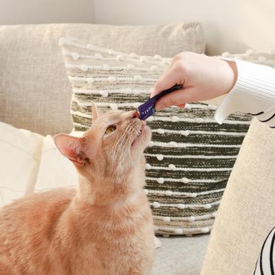 Kiss Me-Ow Tuna Lickable Dental Cat Treats, 0.5-oz tube, case of 4