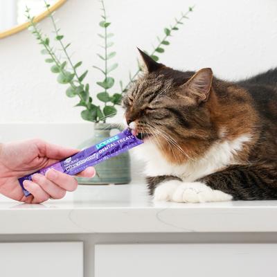 Kiss Me-Ow Chicken Lickable Dental Cat Treats, 0.5-oz tube, case of 4