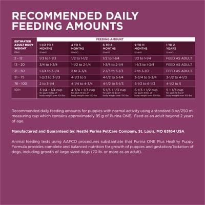 +Plus High Protein Healthy Puppy Formula Dry Puppy Food, 31.1-lb bag