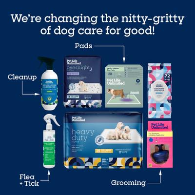 Flea & Tick Treatment Dog Shampoo, 16-fl oz bottle