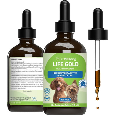 REV Life GOLD Liquid Immune Supplement for Dogs, sabor Tocino. 120 ml. - Pet Wellbeing