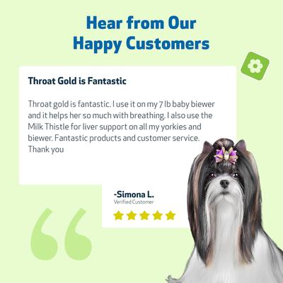 Throat Gold Bacon Flavored Liquid Respiratory Supplement for Dogs & Cats, 4-oz bottle