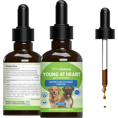 REV Young at Heart Liquid Heart Supplement for Dogs, sabor Tocino. 60 ml. - Pet Wellbeing