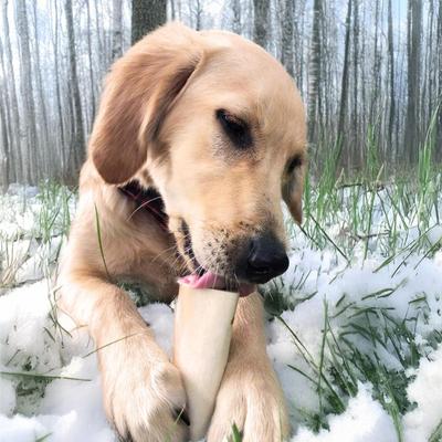 Pumpkin Flavor filled Bone Dog Treats, 12.8-oz bag, 2 count