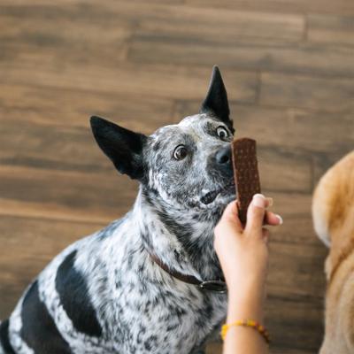 Leash & Load Beef Grain-Free Superfood Bars Jerky Dog Treats, 16-oz bag