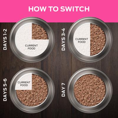 UR Urinary Ox/St Wet Dog Food, 13.3-oz, case of 12