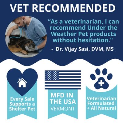 Vital Colostrum Squeezable Dogs Supplement Gel for Dogs, 3.5-oz tube