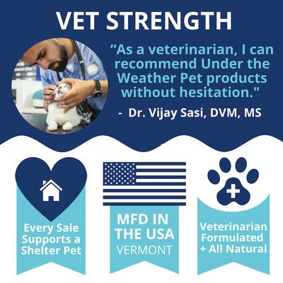 Disc & Spine Soft Chew Supplement for Dogs, 8.82-oz jar