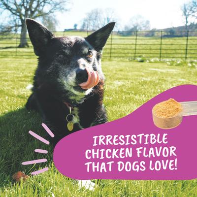 Hip & Joint Powder Supplement for Dogs, 4.23-oz jar