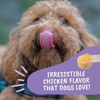 Calming Powder Supplement for Dogs, 4.23-oz jar