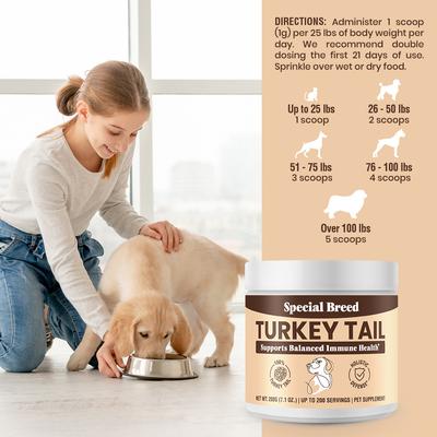 Turkey Tail Mushroom Flavored Powder Canine Immune Support Supplement for Dogs & Cats, 7.1-oz jar