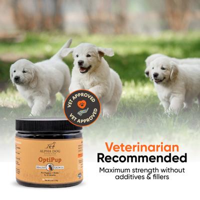 OptiPup All-in-1 Multivitamin Beef Flavor Powder Supplement for Puppies, 5.4-oz jar