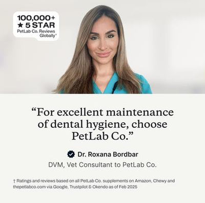 Palitos dentales prebióticos masticables para perros, 6 unidades