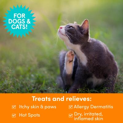 Champú medicado para el alivio de la picazón en perros y gatos, botella de 8 onzas líquidas