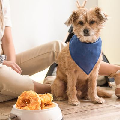 Chicken Jerky Wrapped Rawhide Donut Dog Chew, 8.5-oz bag