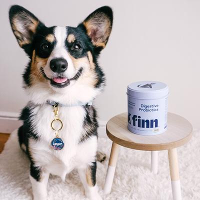 Digestive Prebiotic & Probiotic Peanut Butter Flavor Chew Supplement for Dogs, 90 count