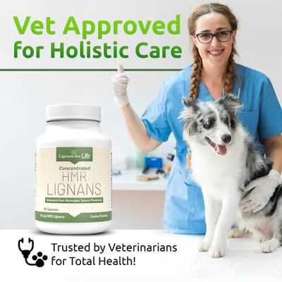 Lignans for Life 20-mg HMR Capsules Hormone Supplement for Dogs, 500-mL bottle