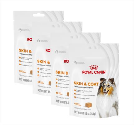 Skin & Coat Support Soft Chews Supplement for Adult Dogs, 60 count